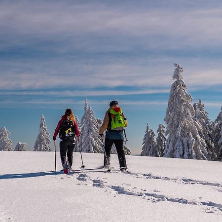 Schwarzwaldhorst Fewo 2 - Mit 4 Schlafzimmer - Todtnau, Liftverbund Feldberg Bagian luar foto