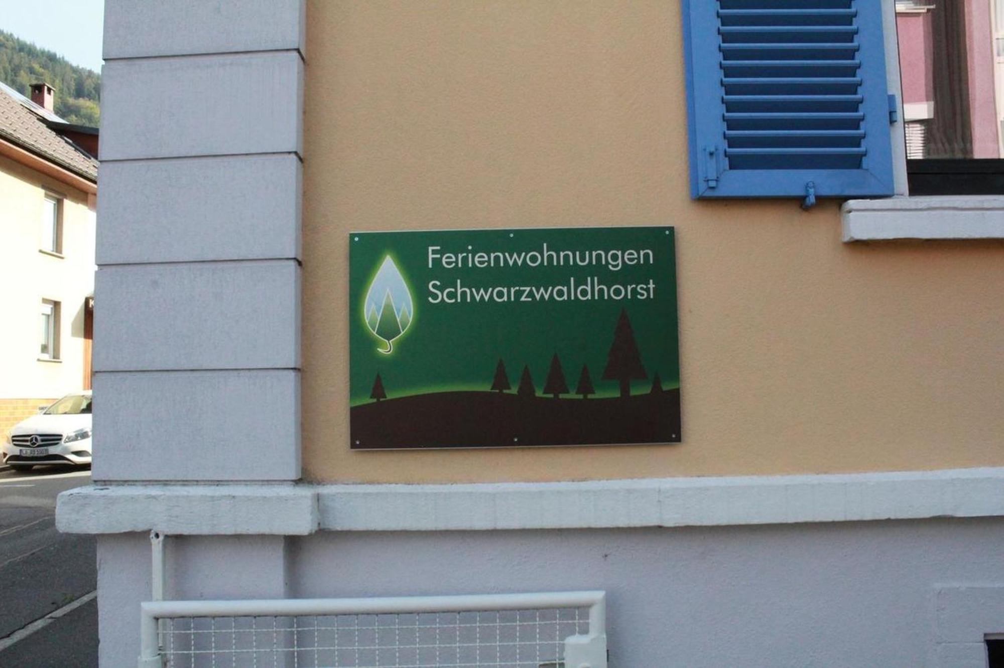 Schwarzwaldhorst Fewo 2 - Mit 4 Schlafzimmer - Todtnau, Liftverbund Feldberg Bagian luar foto