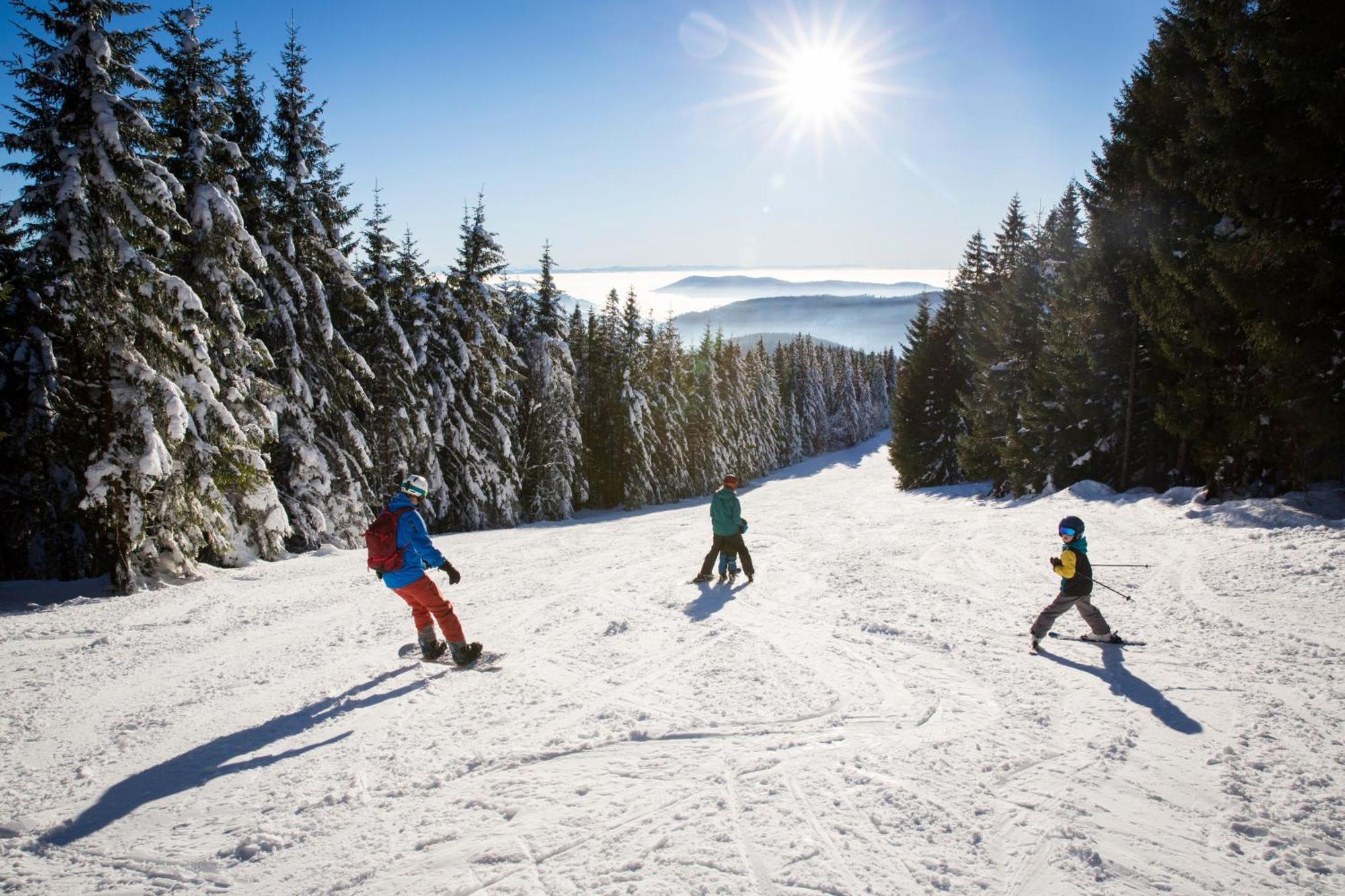 Schwarzwaldhorst Fewo 2 - Mit 4 Schlafzimmer - Todtnau, Liftverbund Feldberg Bagian luar foto