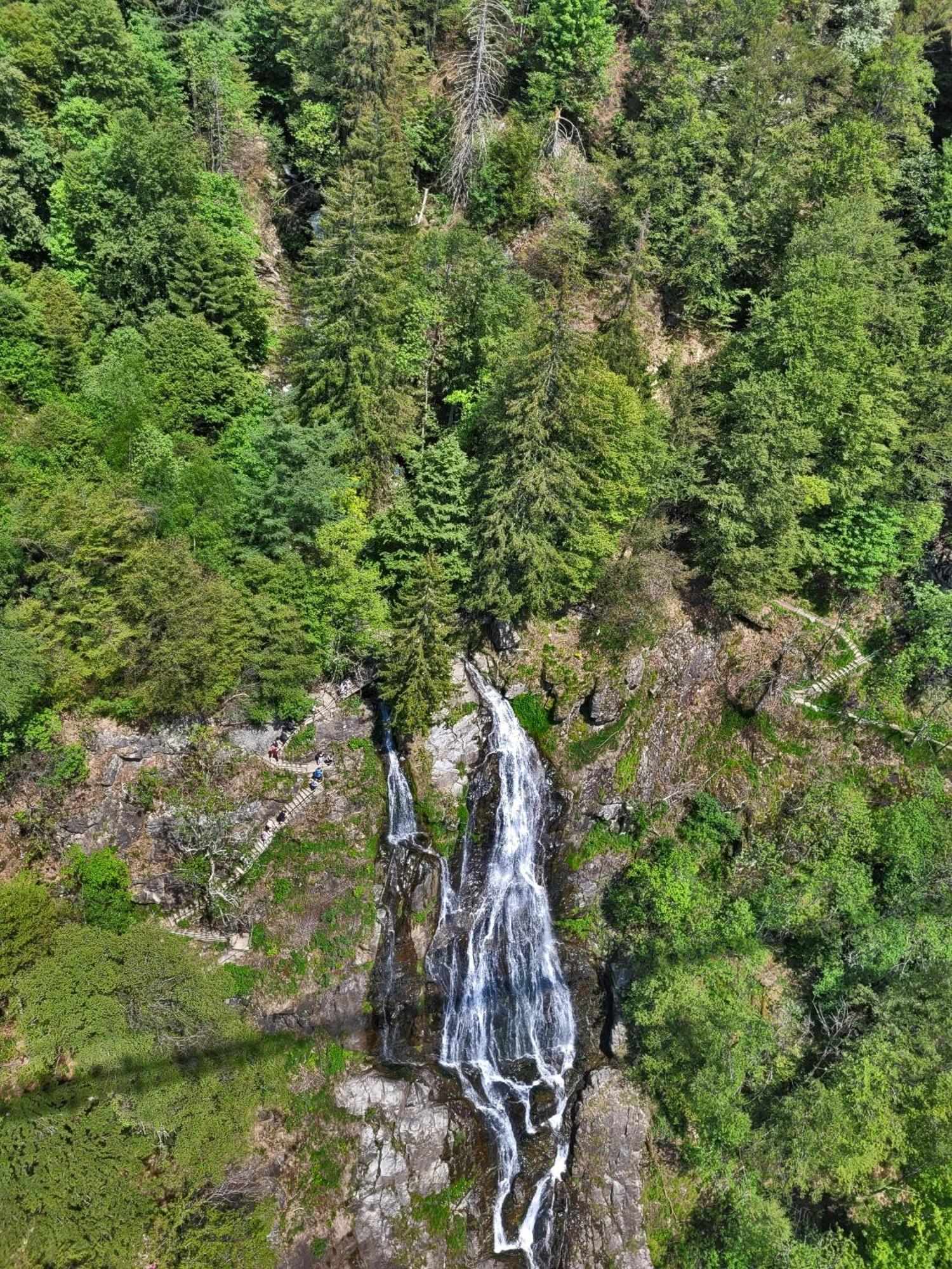 Schwarzwaldhorst Fewo 2 - Mit 4 Schlafzimmer - Todtnau, Liftverbund Feldberg Bagian luar foto