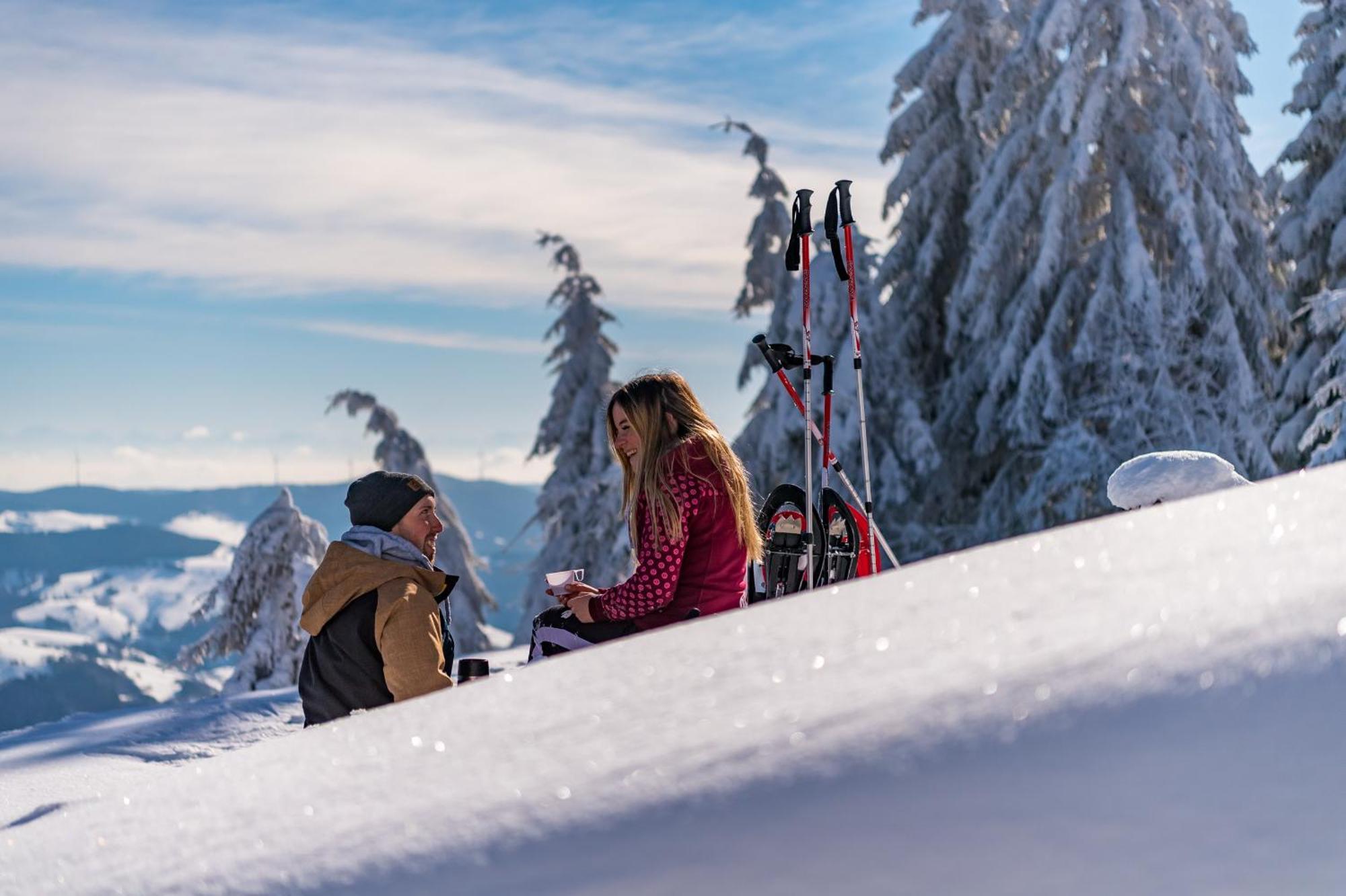 Schwarzwaldhorst Fewo 2 - Mit 4 Schlafzimmer - Todtnau, Liftverbund Feldberg Bagian luar foto
